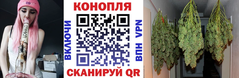 Бошки марихуана тримм  Купить закладки  Назарово 